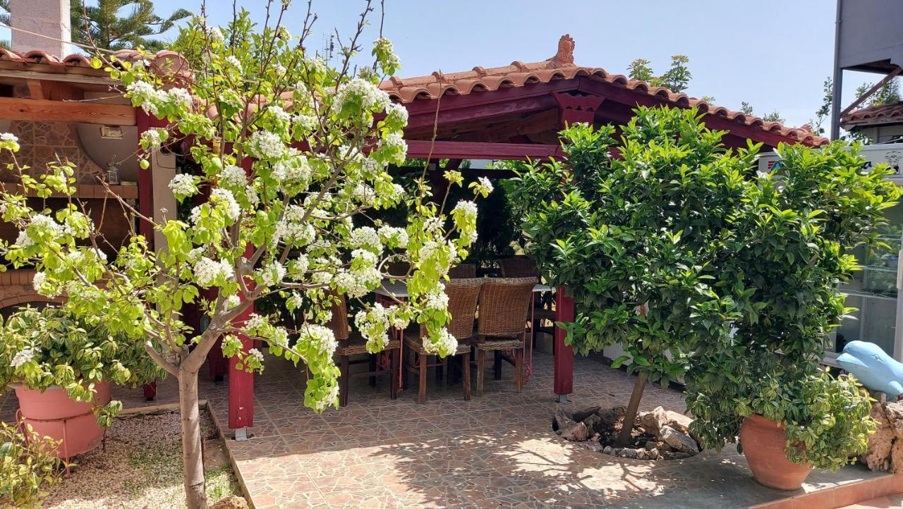 Assos Airport 1 Villa Artemida  Ngoại thất bức ảnh