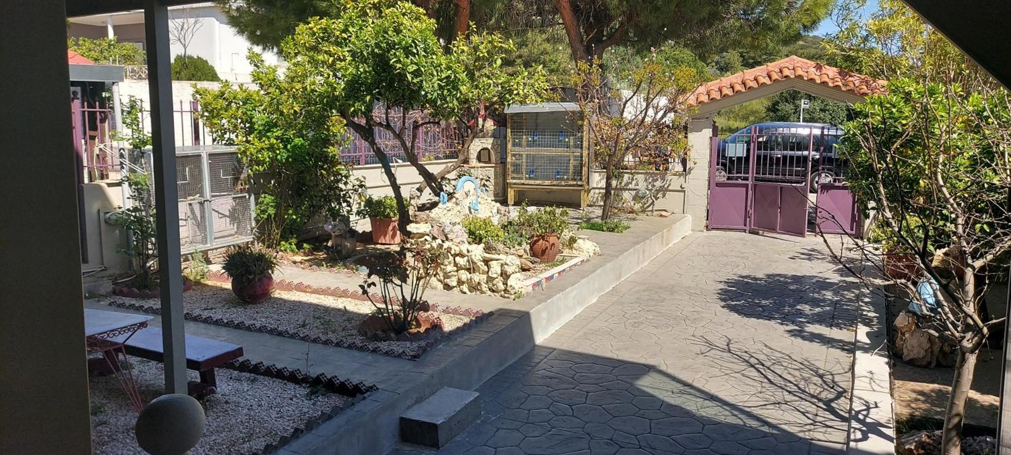 Assos Airport 1 Villa Artemida  Ngoại thất bức ảnh